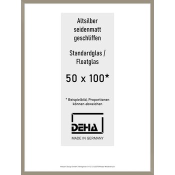 Alu-Rahmen Deha Profil II 50 x 100 Altsilber Float 0002NG-044-ALTS