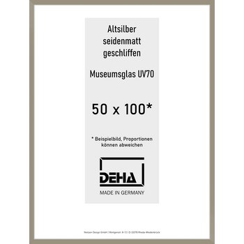 Alu-Rahmen Deha Profil II 50 x 100 Altsilber M.UV70 0002M6-044-ALTS