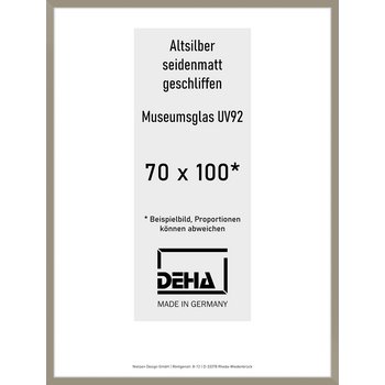 Alu-Rahmen Deha Profil II 70 x 100 Altsilber 0002MG