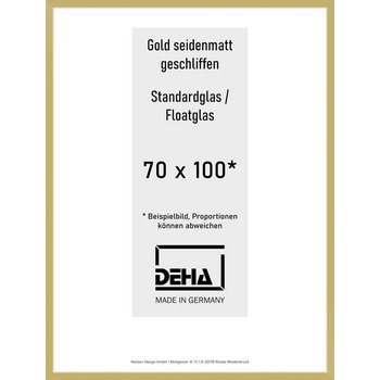 Alu-Rahmen Deha Profil II 70 x 100 Gold 0002NG