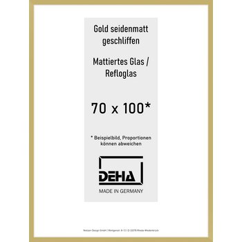 Alu-Rahmen Deha Profil II 70 x 100 Gold 0002RG