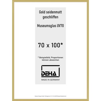 Alu-Rahmen Deha Profil II 70 x 100 Gold 0002M6