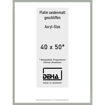 Alu-Rahmen Deha Profil II 40 x 50 Platin Acryl 0002AG-015-PLAT