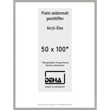 Alu-Rahmen Deha Profil II 50 x 100 Platin Acryl 0002AG-044-PLAT