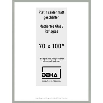 Alu-Rahmen Deha Profil II 70 x 100 Platin Reflo 0002RG-033-PLAT